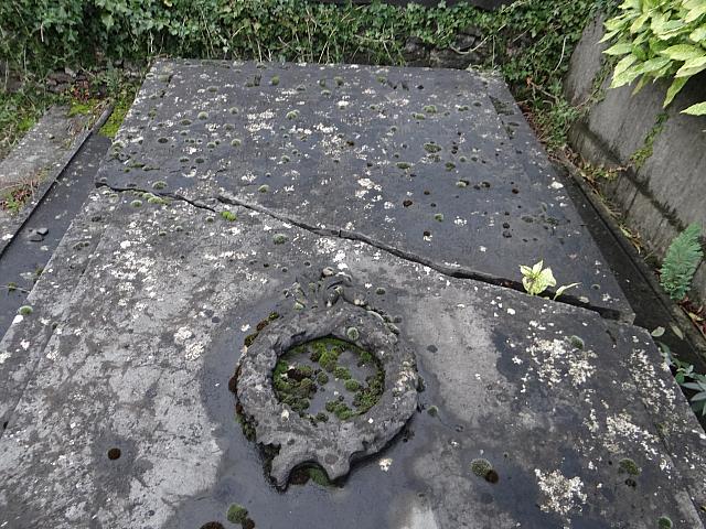 DSC01066