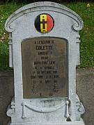COLETTE Narcisse 31876 3