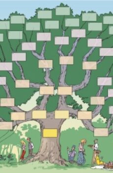 Arbre 6 générations - pique-nique